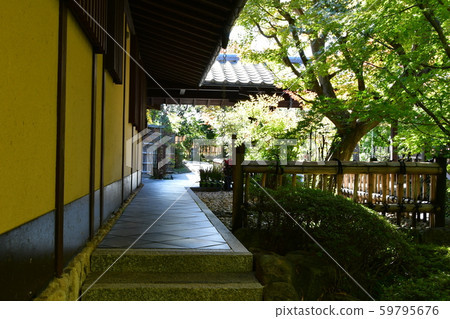 Autumn's Townscape Poetry Izumikaku 59795676