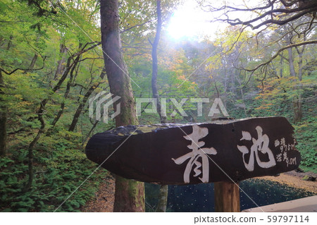Aoike of Shirakami mountain Zuji Lake Aoike of Shirakami mountain Zuji Lake 59797114