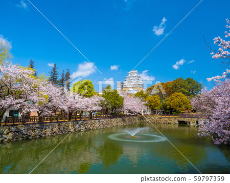 Spring Moment's Himeji Castle 59797359