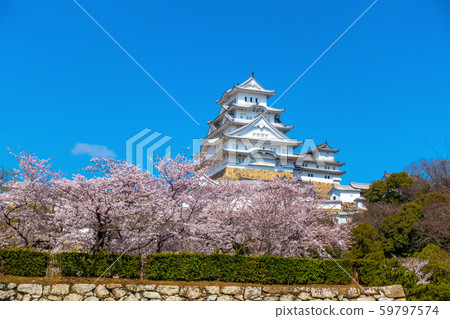 Spring Moment's Himeji Castle 59797574