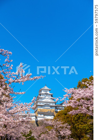 Spring Moment's Himeji Castle Spring Moment's Himeji Castle 59797575
