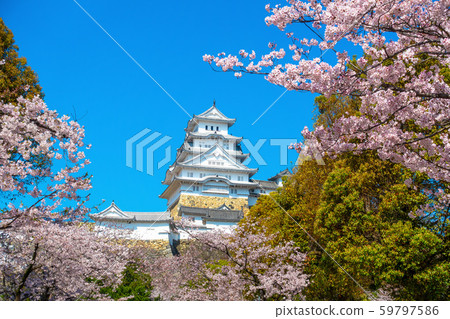 Spring Moment's Himeji Castle Spring Moment's Himeji Castle 59797586