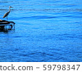Gray heron looking at the sea in Suruga Bay Gray heron looking at the sea in Suruga Bay 59798347