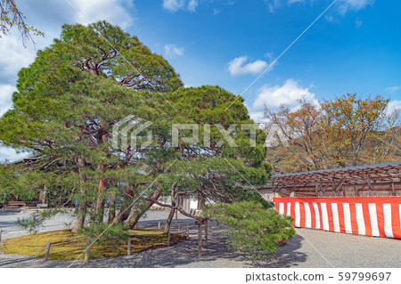 京都府 京都府 59799697