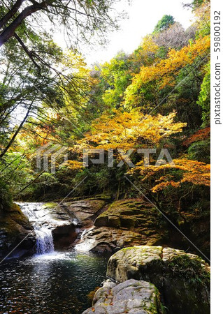 紅眼前進瀑布 紅眼前進瀑布 59800192