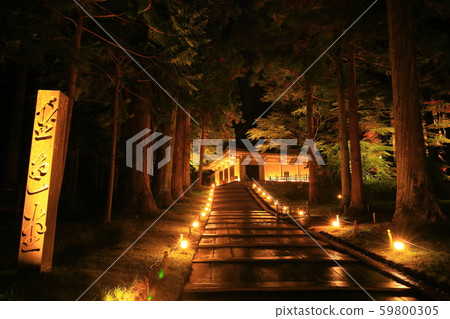 World heritage Chusonji light up of colored leaves 59800305