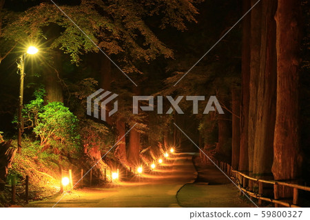 World heritage Chusonji light up of colored leaves 59800327