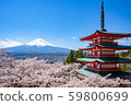 Spring at Asama Shrine 59800699