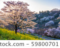 Morning of a dream farm 59800701
