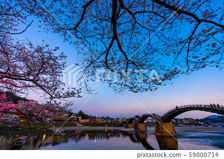 Kintai Bridge at dusk 59800714