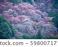 Yoshino mountain spring 59800717