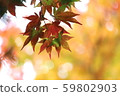 Momiji at the beginning of coloring 59802903