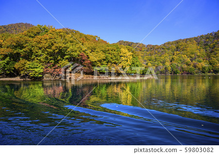 洞爺湖中島紅葉（從遊船上觀看） 59803082