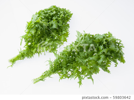 Wasabi Wasabi 59803642