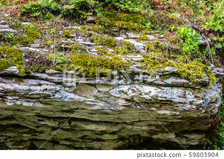 Rock of layered stone overgrown with grass and moss Rock of layered stone overgrown with grass and moss 59803904