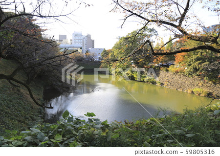 從東京都千代田區北丸丸公園看到的千鳥淵 從東京都千代田區北丸丸公園看到的千鳥淵 59805316