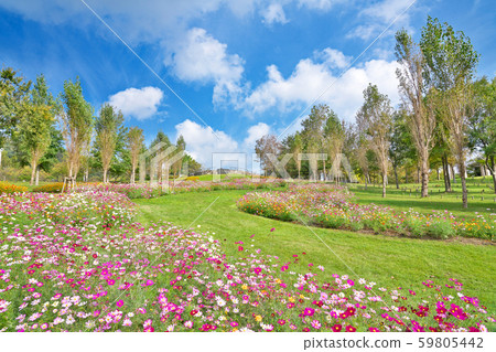 [National Akashi Kaikyo Park] Dream stage in Awaji City, Hyogo 59805442
