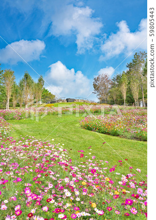 [National Akashi Kaikyo Park] Dream stage in Awaji City, Hyogo 59805443