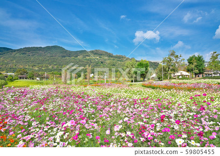 [National Akashi Kaikyo Park] Dream stage in Awaji City, Hyogo 59805455
