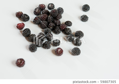 Black raspberry is fragrant and delicious on a Black raspberry is fragrant and delicious on a 59807305