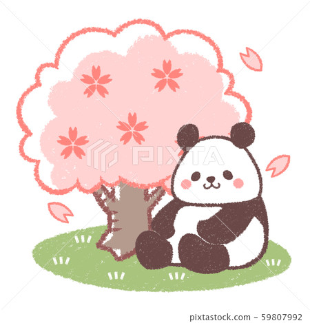 花見熊貓 59807992