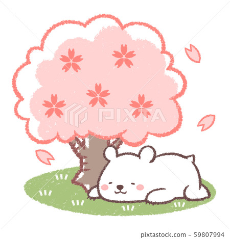 花見北極熊躺下 59807994