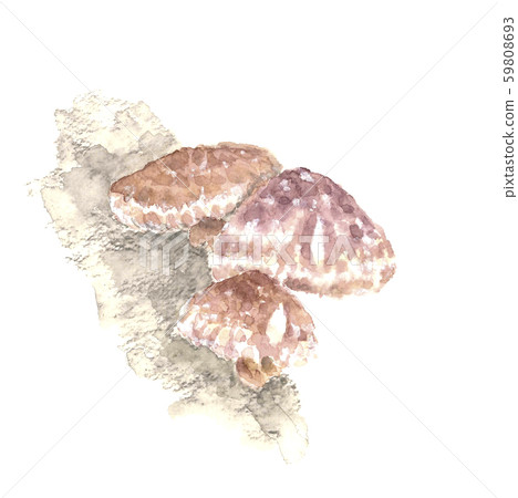 Shiitake mushroom log cultivation watercolor 59808693