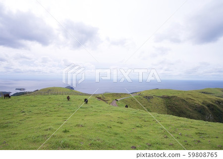 The view from near the red bald mountain of Chiburijima (Shimane Prefecture Oki District chibu) 59808765