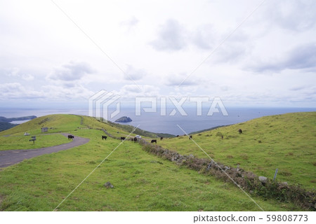 Chisato島紅色禿頭山(島根縣衝木郡桃尾村)的景色 Chisato島紅色禿頭山(島根縣衝木郡桃尾村)的景色 59808773