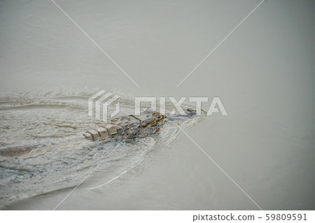Glasses Caiman Glasses Caiman 59809591