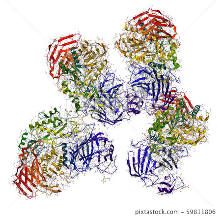 Sucrase-isomaltase enzyme structure 59811806