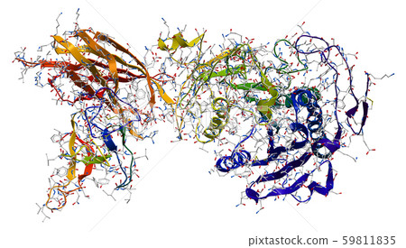 Enzyme pancreatic lipase-colipase complex Enzyme pancreatic lipase-colipase complex 59811835