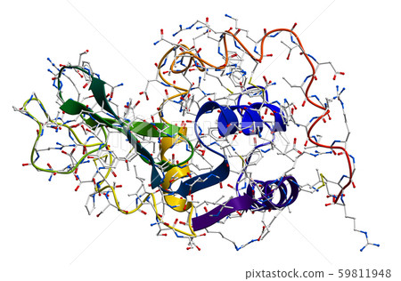 Lysozyme, the natural antibacterial enzyme contained in saliva, milk, mucus, tears, egg white and so 59811948