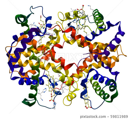 Hemoglobin molecule isolated on a white background Hemoglobin molecule isolated on a white background 59811989