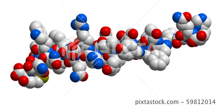 Hormone glucagon 3D molecular structure Hormone glucagon 3D molecular structure 59812014