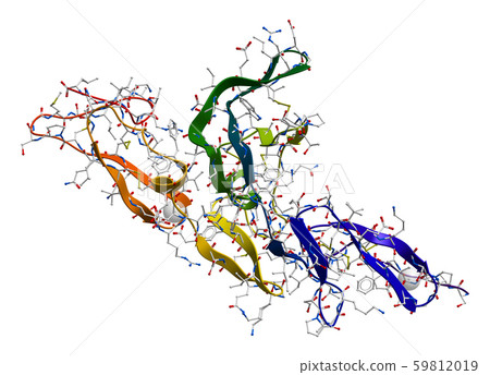 Fibrillin glycoprotein molecule 59812019