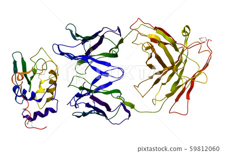 Immunoglobulin bound to antigen 59812060