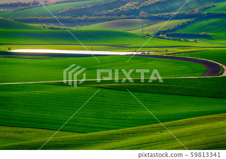 Green grass field background Green grass field background 59813341