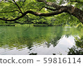 Kumonba池塘 59816114
