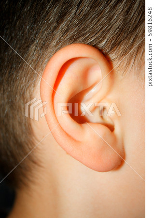 little boys ear - macro look on part. little boys ear - macro look on part. 59816248