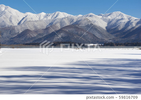 A beautiful contrast between the sparkling snow field and the shadow of the trees overlooking Mt. 59816709