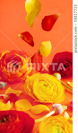 Red and yellow flowers on a red background Red and yellow flowers on a red background 59817723