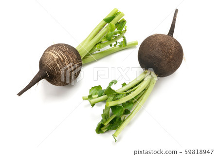 Kuromaru Daikon Kuromaru Daikon 59818947