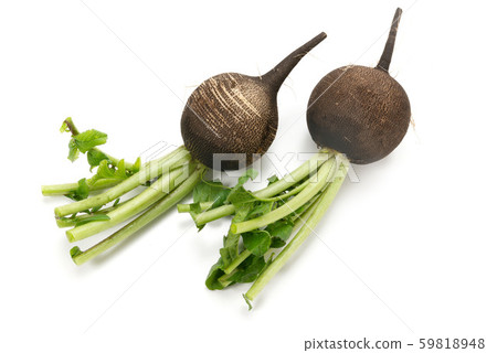 Kuromaru Daikon Kuromaru Daikon 59818948