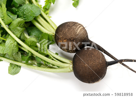 Kuromaru Daikon 59818958