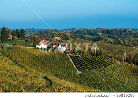 Wine road, Maribor, Slovenia Wine road, Maribor, Slovenia 59819296