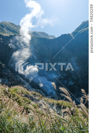 盛開的芒草與硫磺坑 59820289