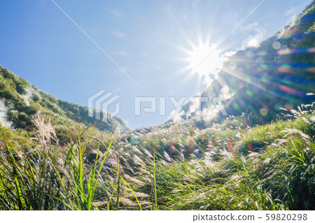 Sunlight shining under the sun 59820298