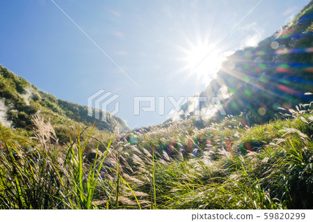 Sunlight shining under the sun Sunlight shining under the sun 59820299