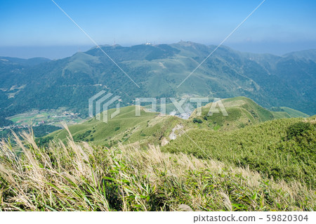 盛開的芒草中遠眺山脈 59820304